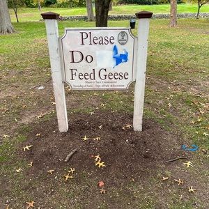 Meet your Posher, Rocco